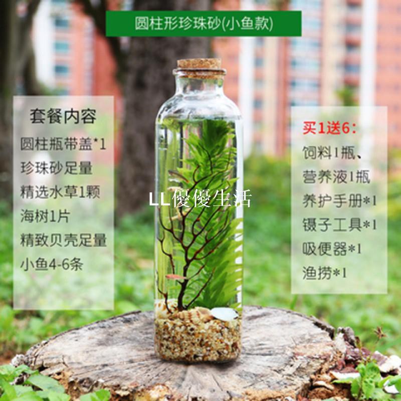 生態瓶科學用觀賞魚缸微景觀免換水植物diy材料包微觀鬥魚小學生 蝦皮購物
