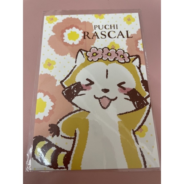 小浣熊 日本明信片 puchi rascal