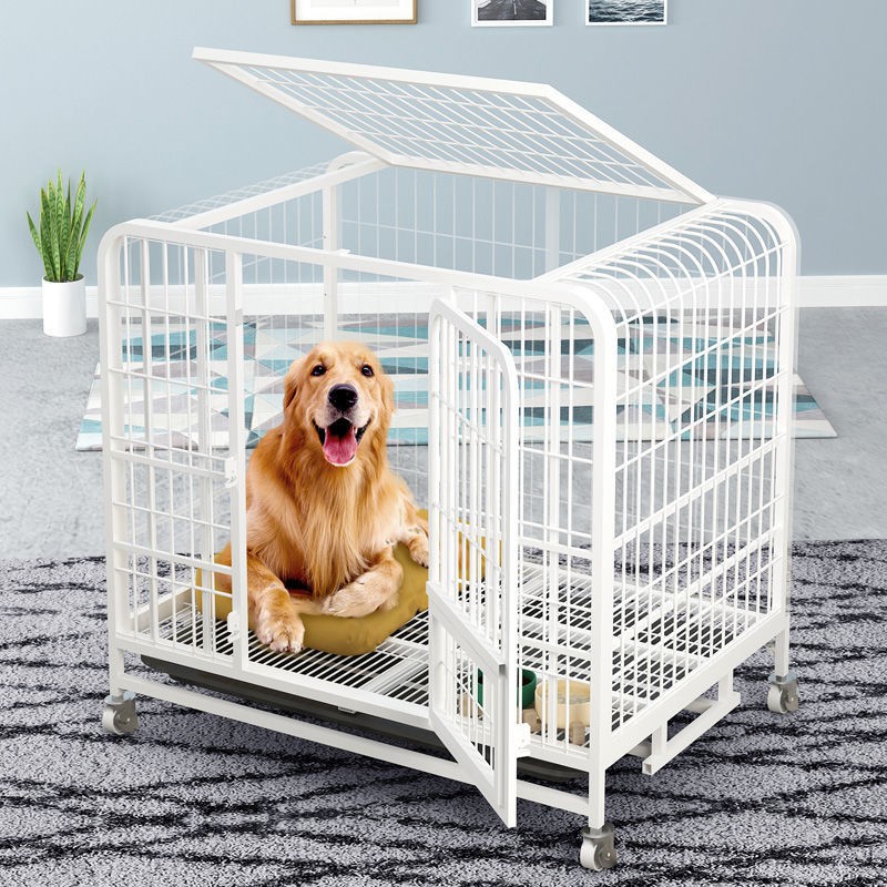 萌寵小屋 狗笼子中型犬小型犬室内带厕所分离家用宠物柯基泰迪狗窝狗狗围栏 蝦皮購物