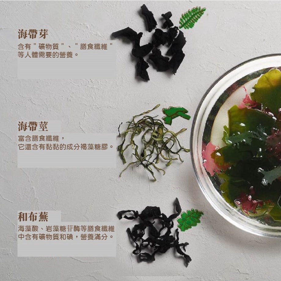 日本代購新鮮現貨 海沙拉沙拉海藻九州產最高品質七種營養海藻無添加泡水五分鐘即食膨脹十倍大蔬菜 蝦皮購物