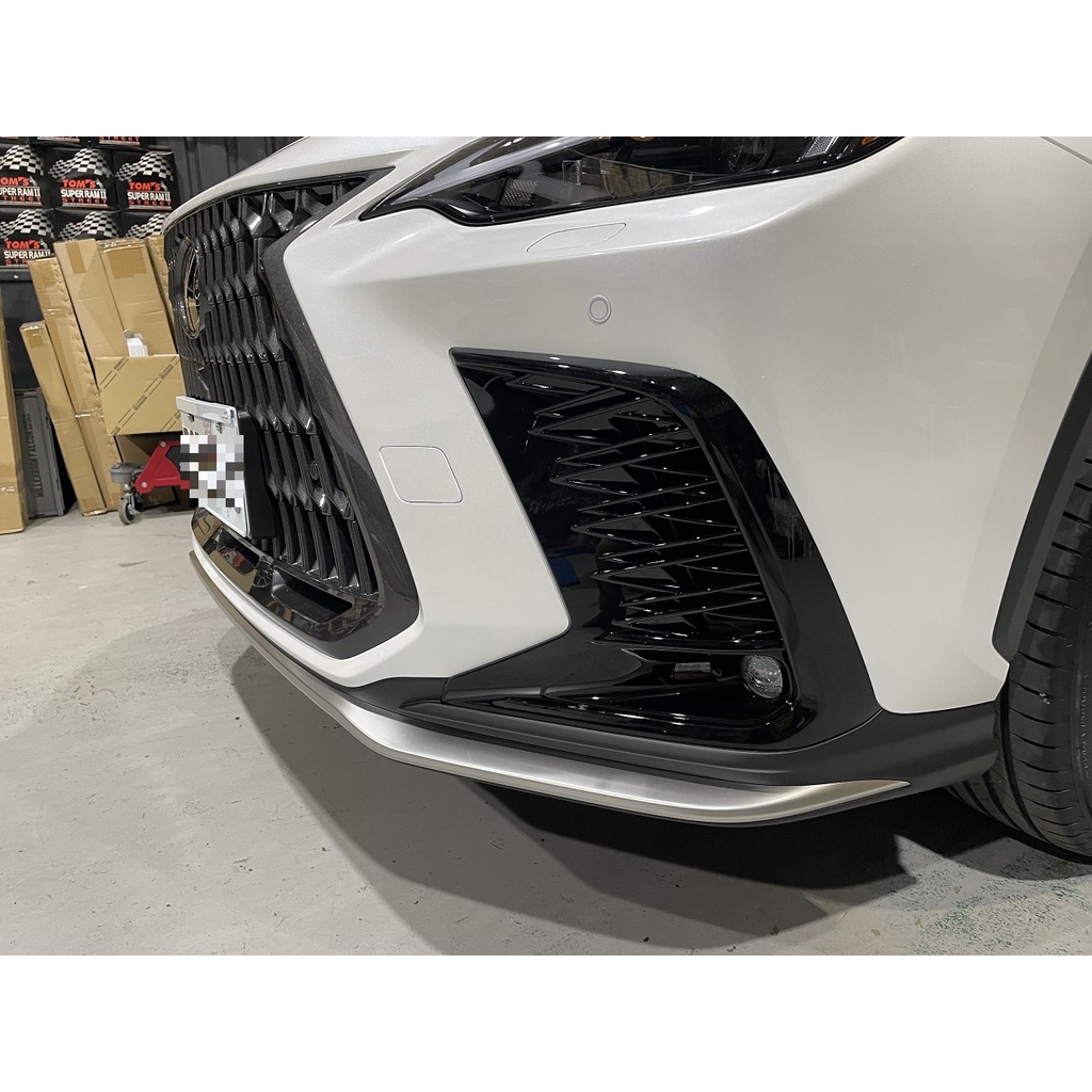 車庫小舖 LEXUS 日本原廠 2023 NX200 NX250 NX350 Fsport 面罩 下巴