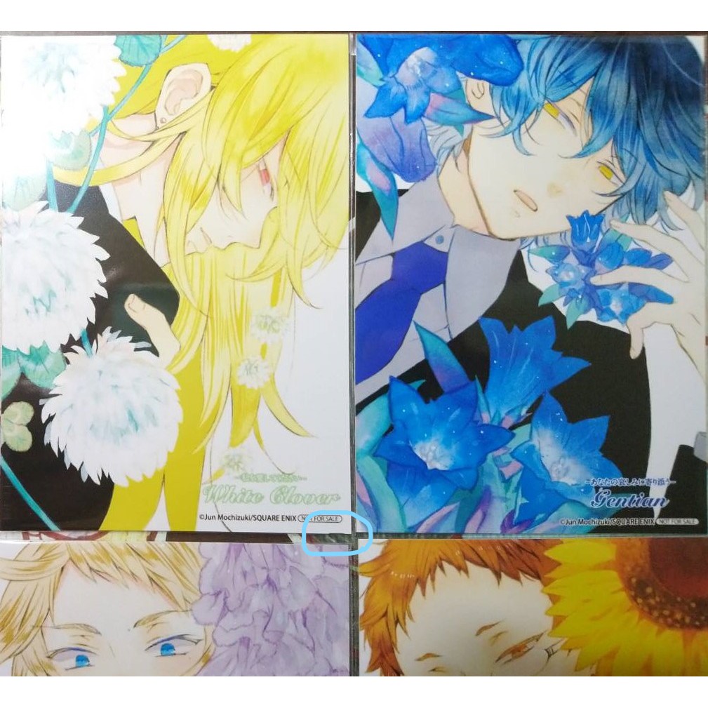 潘朵拉之心 Pandora Hearts 日本原畫展花言葉相卡花語特典パンドラハーツブロマイド望月淳 蝦皮購物