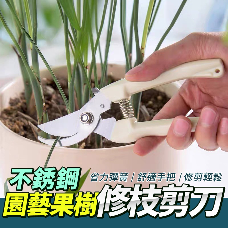 園藝剪刀👏樹枝剪 修枝剪 花木剪刀 園林 花藝果樹剪 花枝剪刀 園藝剪刀 高枝剪 粗枝剪刀 修花剪刀 果樹剪 園藝剪