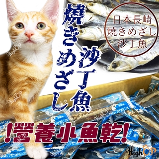 【HIGHCP寵物百貨】日本長崎焼きめざし 沙丁魚 營養小魚乾 無添加 貓零食 沙丁魚乾 寵物點心 貓點心小魚乾