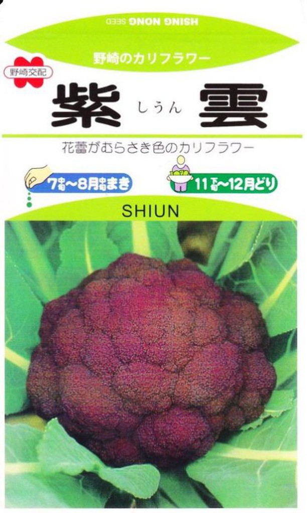 四季園 紫雲 紫色花椰菜 【蔬果種子】興農牌 中包裝種子 每包約0.5公克