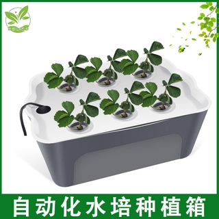 【特價】食品級材料 水培蔬菜種植箱 水培箱 無土栽培設備 家庭陽臺自動化水耕種菜神器 塑料花盆 水耕設備 水耕箱