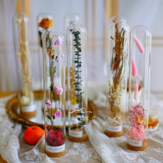軟木塞 柱形系列 玻璃罩 花藝 diy 手作 展示 乾燥花 永生花 人偶 公仔 收藏 紀念 禮物 擺飾 居家 生活儀式感