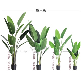 ❤️宅配免運費❤️民雄出貨❤️廠家直銷綠植盆栽旅人蕉仿真植物天堂鳥INS風裝飾北歐龜背竹假樹