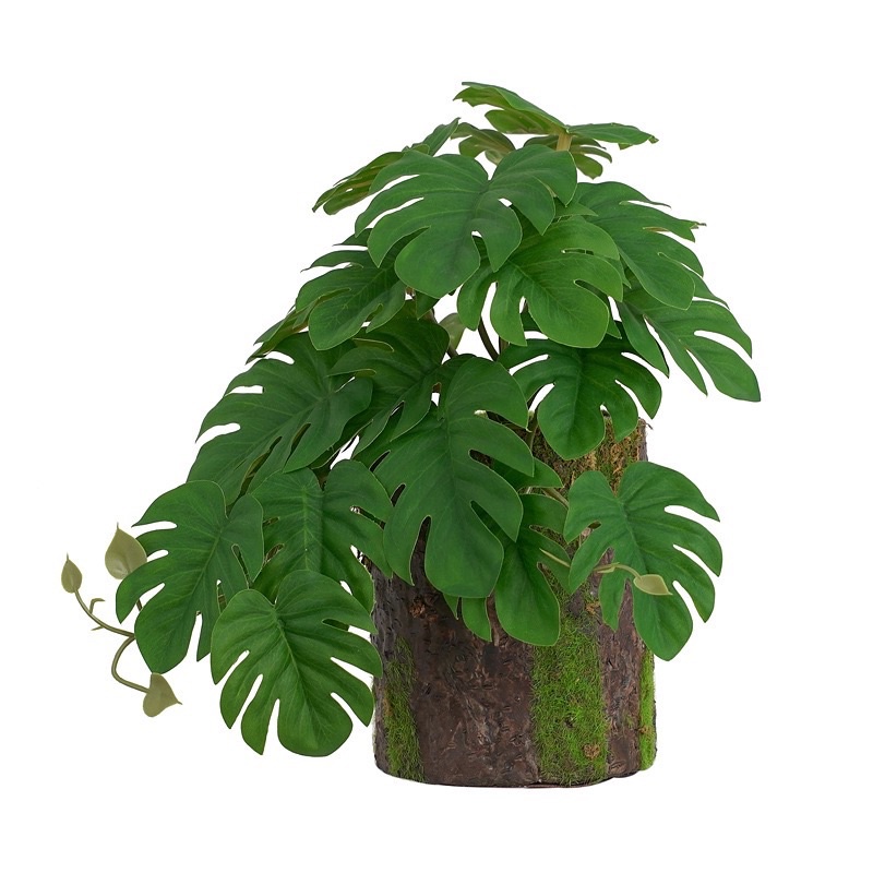 ❤️仿真木頭小植物❤️超可愛木頭植物 桌上型植物 小盆栽 木頭盆栽 龜背葉 地瓜葉 綠蘿葉