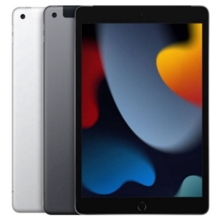 [龍龍3C] 蘋果 Apple iPad 9th 10.2吋 第9代 LTE 256GB A2604