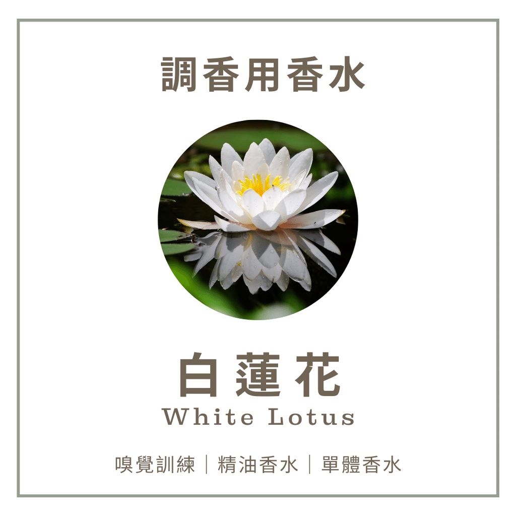 深深香氛 調香用香水 白蓮花客製香水精油擴香石調香蓮花香水蓮花精油香水蓮花精油脈輪香水脈輪 蝦皮購物