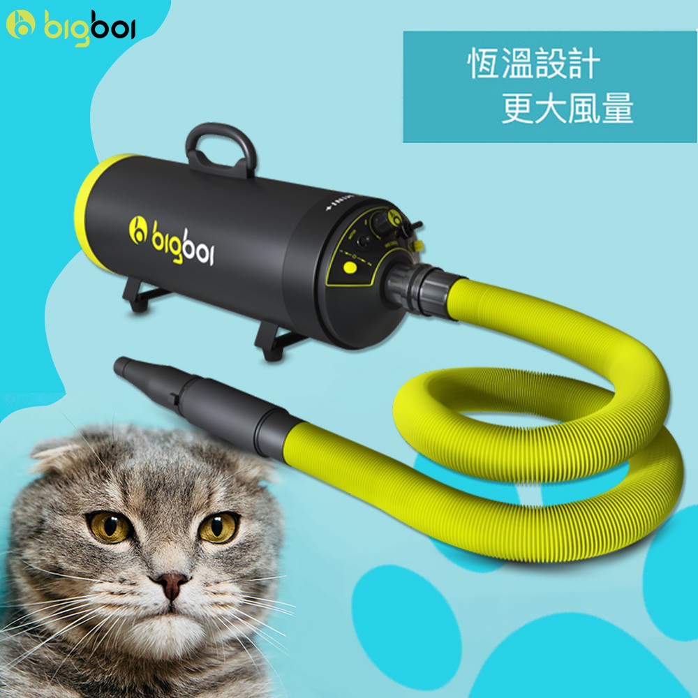 【GOOD購】bigboi寵物乾燥吹風機 MINI PLUS+  寵物吹水機 2倍風力 乾燥吹風 寵物用品 吹風乾燥