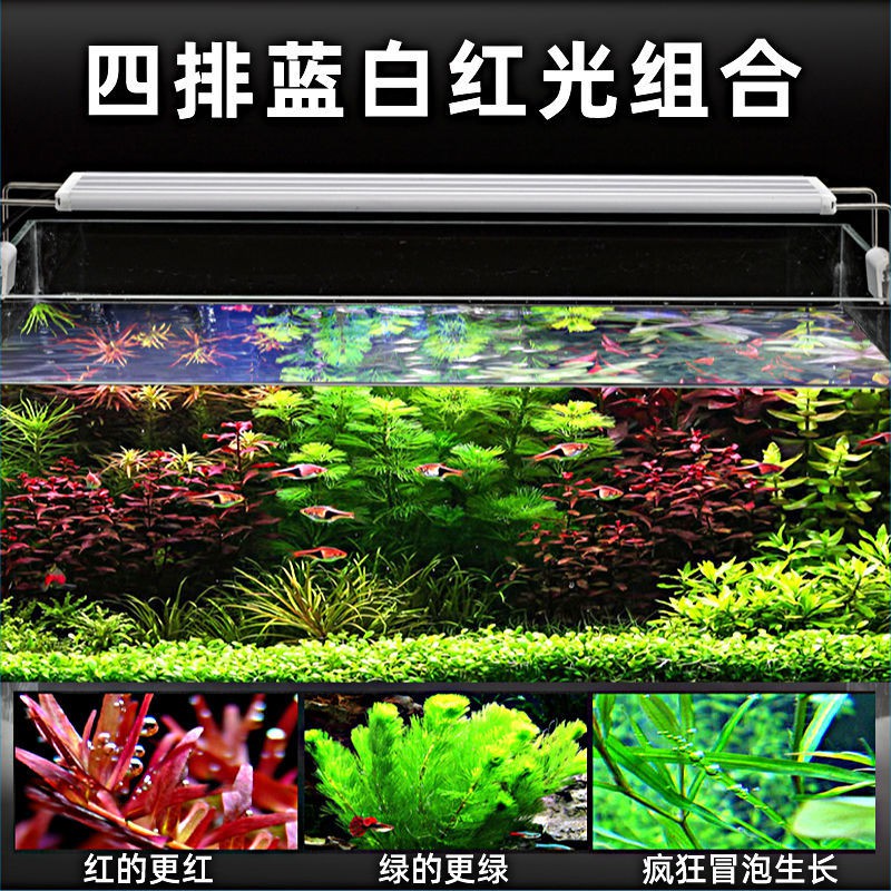 魚缸燈具 魚缸燈led燈全光譜照明燈草缸燈水族箱專用增色節能爆藻燈水草燈 蝦皮購物