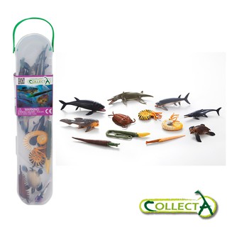 collectA 迷你史前海洋動物組 盒裝-12入 英國高擬真模型 生物公仔 海洋生物 公仔 兒童玩具