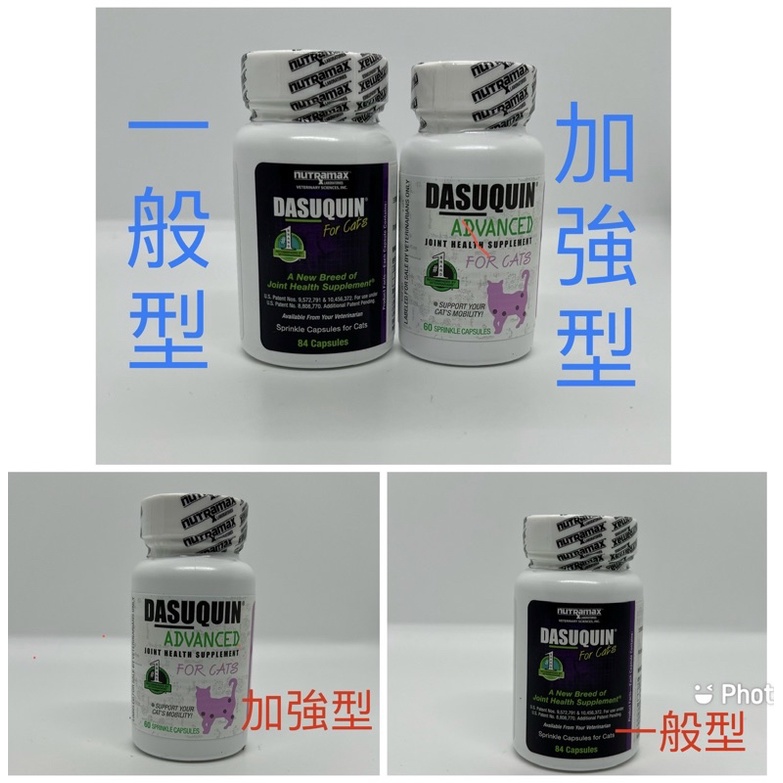 台灣公司貨 Nutramax DASUQUIN / ADVANCED for cats 貓 關節保健 84顆/60顆