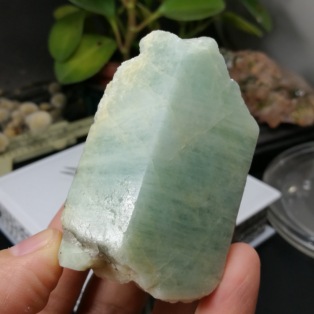 [友克鑫礦業]23約重176.5g-海水藍寶 原礦 Aquamarine 海藍寶 晶礦 共生雲母 原石 綠柱石