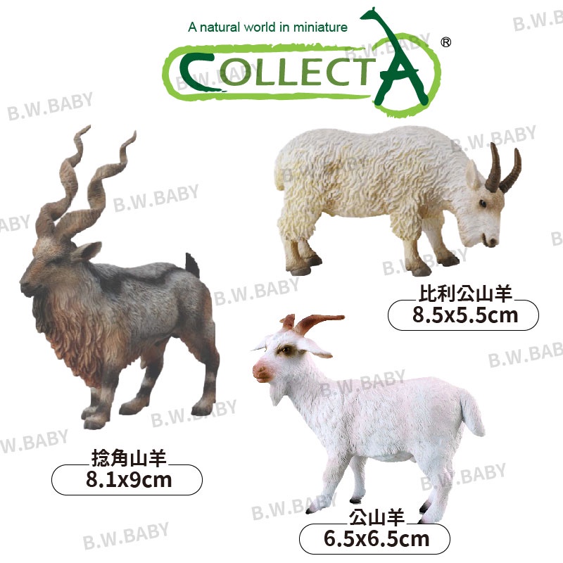 開發票 Collecta英國高擬真動物模型綿羊 黑臉羊 四角羊 喜馬拉雅塔爾羊 比利公山羊 捻角山羊 黑白寶貝玩具屋 蝦皮購物