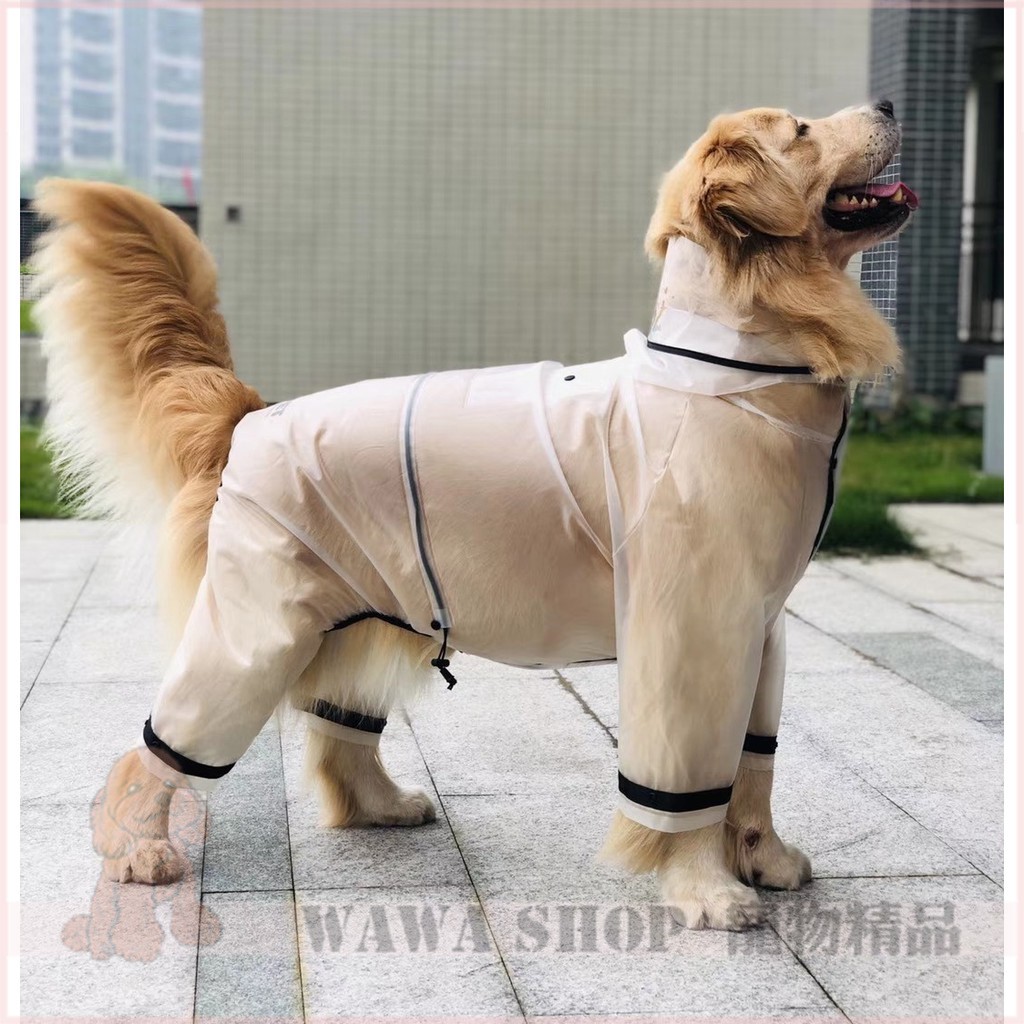 大型犬雨衣日本高品質透明雨衣四腳款大型犬專用高品質雨衣狗狗四腳雨衣珍藏好物日本限量透明雨衣 蝦皮購物