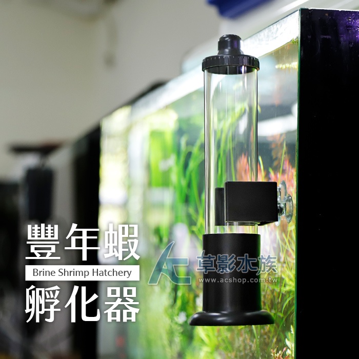 【AC草影】桌上型 豐年蝦孵化器【一組】小蝦孵化 孵豐年蝦 仔魚飼料 豐年蝦孵化