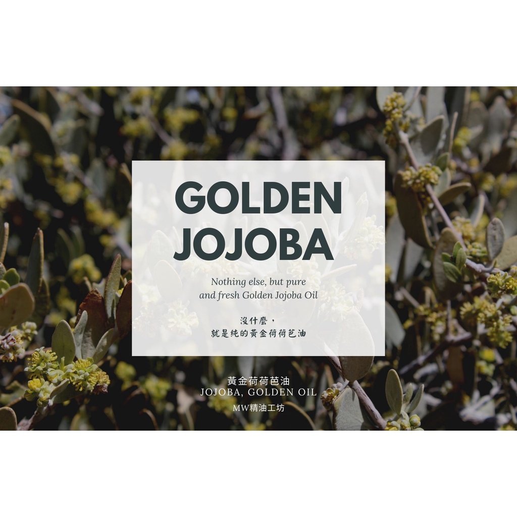 【MW精油工坊】黃金荷荷芭油 Golden Jojoba Oil 250mL 身體按摩油 保養油