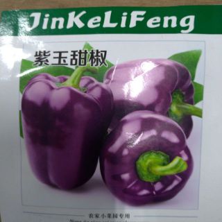 白玉紫玉甜椒彩色甜椒種子種苗