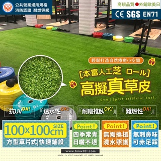 【本富地墊】極密耐燃人工草【臺灣製★現貨附發票】健身草皮、運動草皮、景觀草皮、模擬草皮、隔熱草皮、推臥草皮、屋頂隔熱