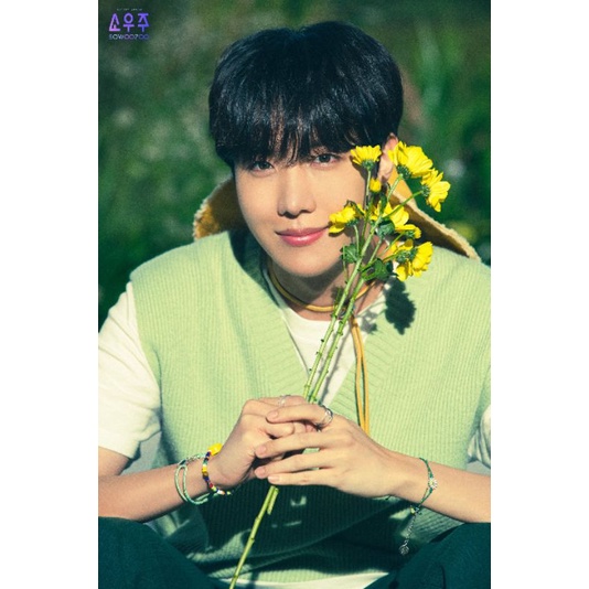 花開bts Ptt Dcard討論與高評價網拍商品 21年8月 飛比價格