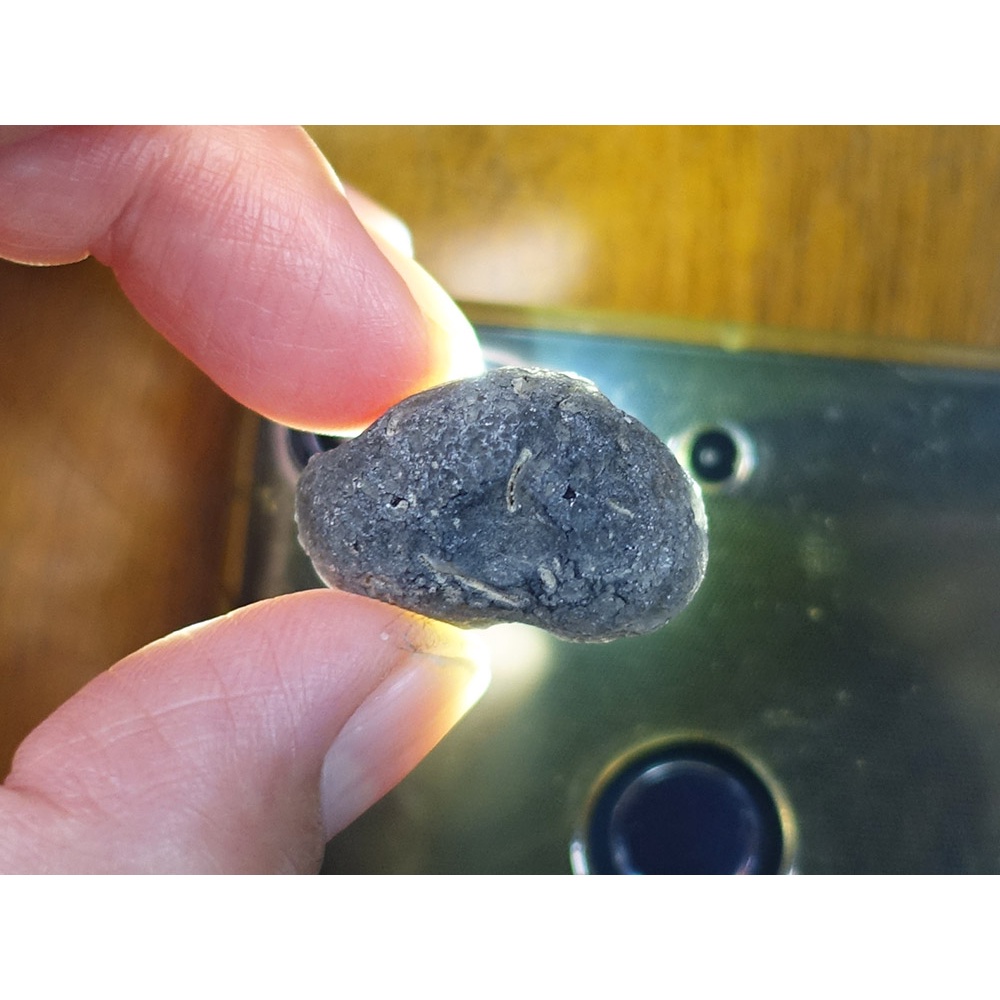 §能量礦石§ 亞利桑那隕石Saffordite Arizona天狼星隕石 重11.33g