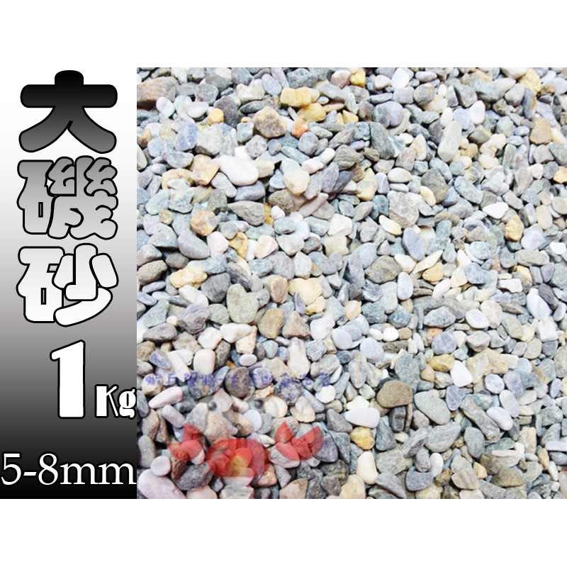 蝦兵蟹將 造景底砂 大磯砂大小約5 8mm kg 大磯沙砂石底沙碎粒沙石 蝦皮購物
