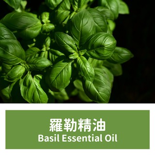 【馥靖精油】羅勒精油 甜羅勒精油 Basil Essential Oil