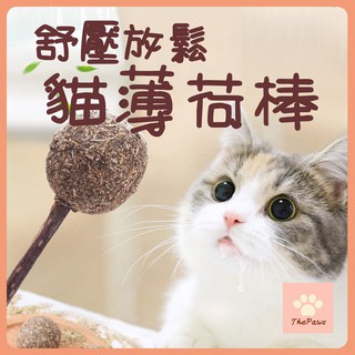 貓薄荷高雄的價格推薦 21年5月 比價撿便宜