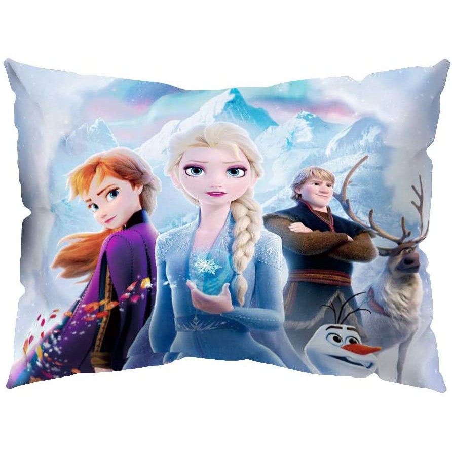 C❤️正版❤️美國迪士尼 冰雪奇緣 2  FROZEN II ELSA 艾莎 ANNA 安娜  枕頭套 寢具 兒童 公主