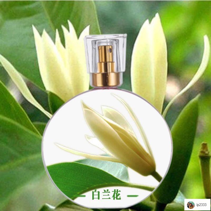 白蘭花 優惠推薦 21年9月 蝦皮購物台灣