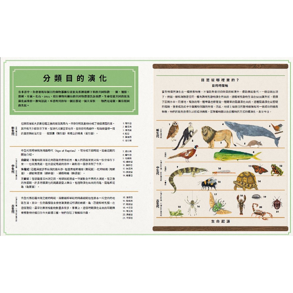 博物學家的動物分類圖鑑 蝦皮購物