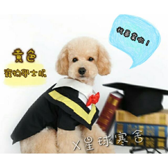 現貨+預購💗超Q🐕寵物美衣🐈學士服 畢業服