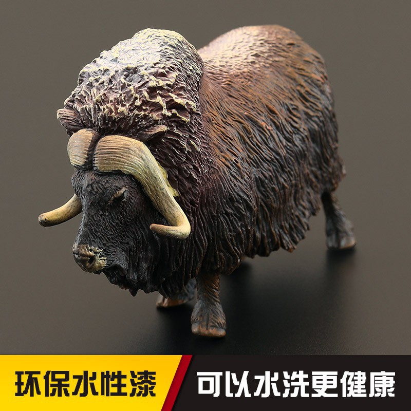仿真 實心兒童仿真動物玩具野生動物模型套裝麝香牛北極麝牛認知擺件 小喬 蝦皮購物