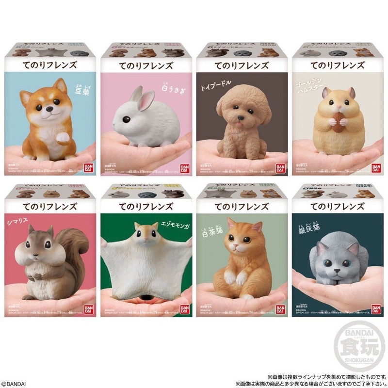 萬代日版 BANDAI 掌上好朋友 可愛動物 寵物 盒玩 食玩 掌中動物 飛鼠 松鼠 白兔 豆柴 柴犬現貨