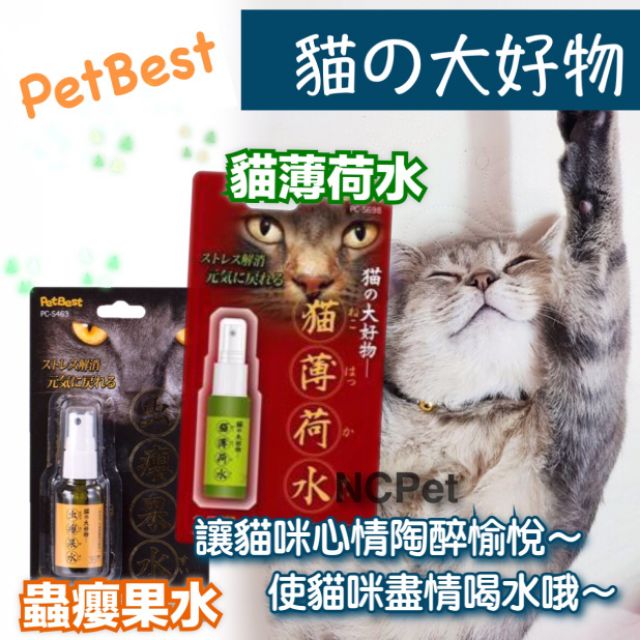 貓大好物蟲癭果水貓薄荷水蟲癭果果實100 天然無添加 無著色 無防腐貓喝水利器 蝦皮購物