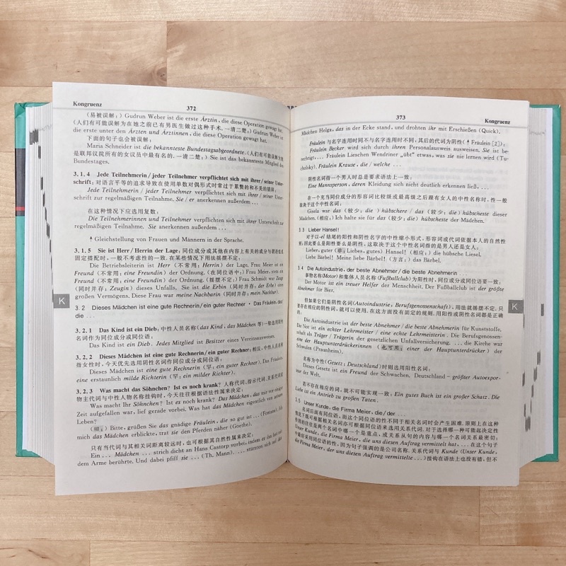 杜登德语规范词典 Isbn 外語教學與研究 德 克洛澤klosa 九成新 蝦皮購物