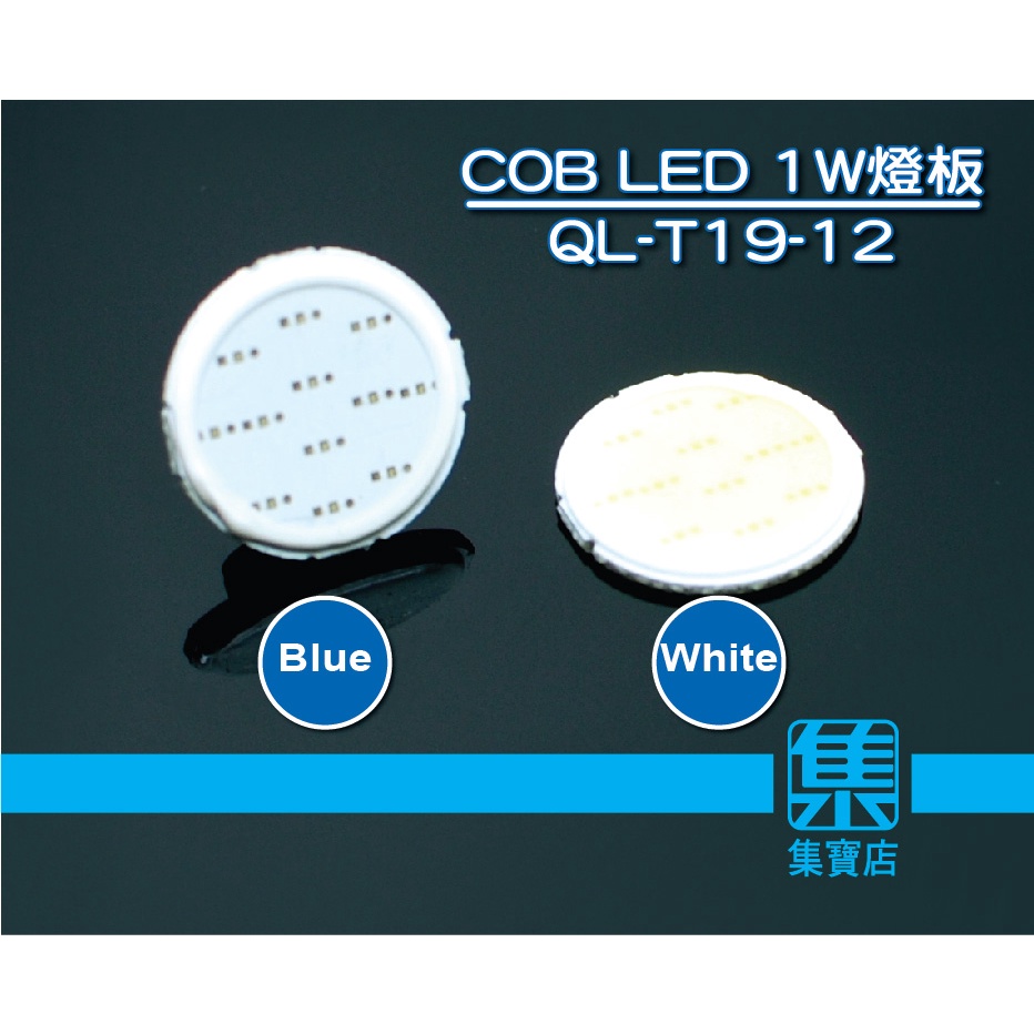 QL-T19-12【白光/藍光】COB LED DC12V 汽機車改裝燈板 led燈珠板 補光燈 【1片價】植物燈