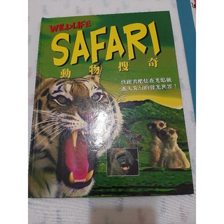 動物搜奇 Wildlife Safari