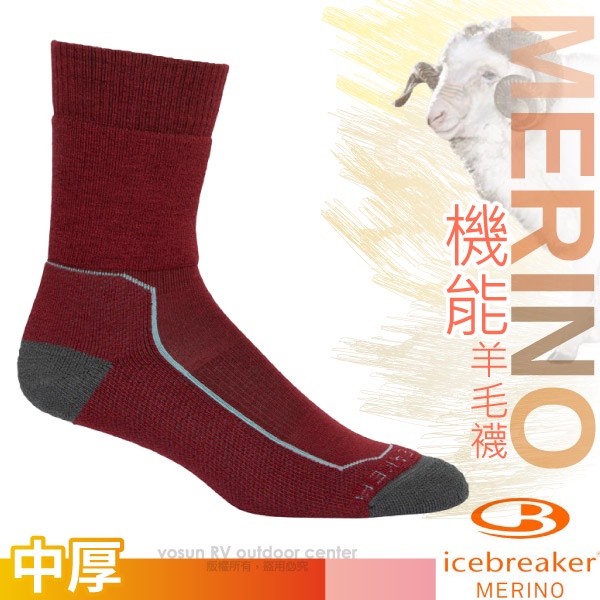 【紐西蘭 Icebreaker】女款美麗諾羊毛中筒避震登山健行襪(2入套組)小腿襪/酒紅_IB105097