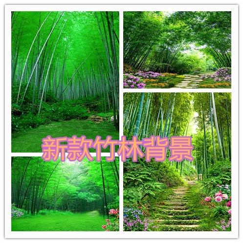 網美背景布的價格推薦 21年8月 比價比個夠biggo