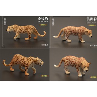 🍁 （4款）模擬 花豹 獵豹 金錢豹 美洲豹 幼豹 豹 家族 動物模型 野生動物 兒童玩具 益智 SPG 隨草憶境