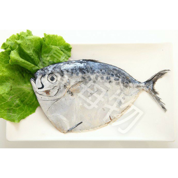 台灣野生皮刀魚(3入組)
