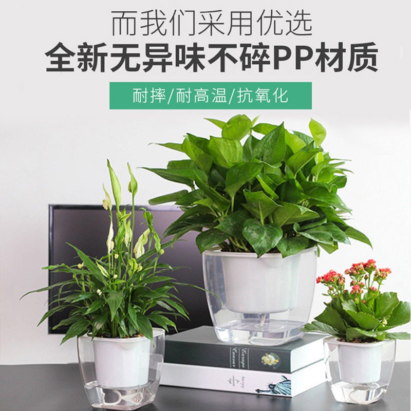 懶人盆栽花盆 Ptt討論與高評價網拍商品 21年8月 飛比價格