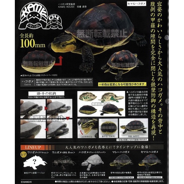 楓沁 現貨 扭蛋 轉蛋 BANDAI 轉蛋 扭蛋 萬代 BANDAI 環保扭蛋 造型扭蛋 烏龜 食蛇龜篇