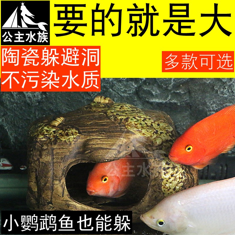 中型魚小型魚躲避洞躲避屋天然陶瓷小魚窩中魚躲魚洞魚缸大型陶罐 蝦皮購物