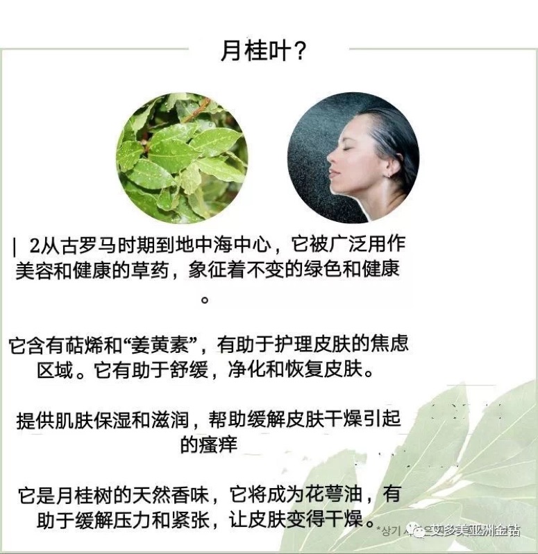 韓國3秒水月桂葉美容水 蝦皮購物