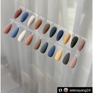 現貨🔶 Artis di Voce SY系列 selena聯名 日本凝膠 甲油膠 彩色凝膠 指甲油 萬用色 經典色
